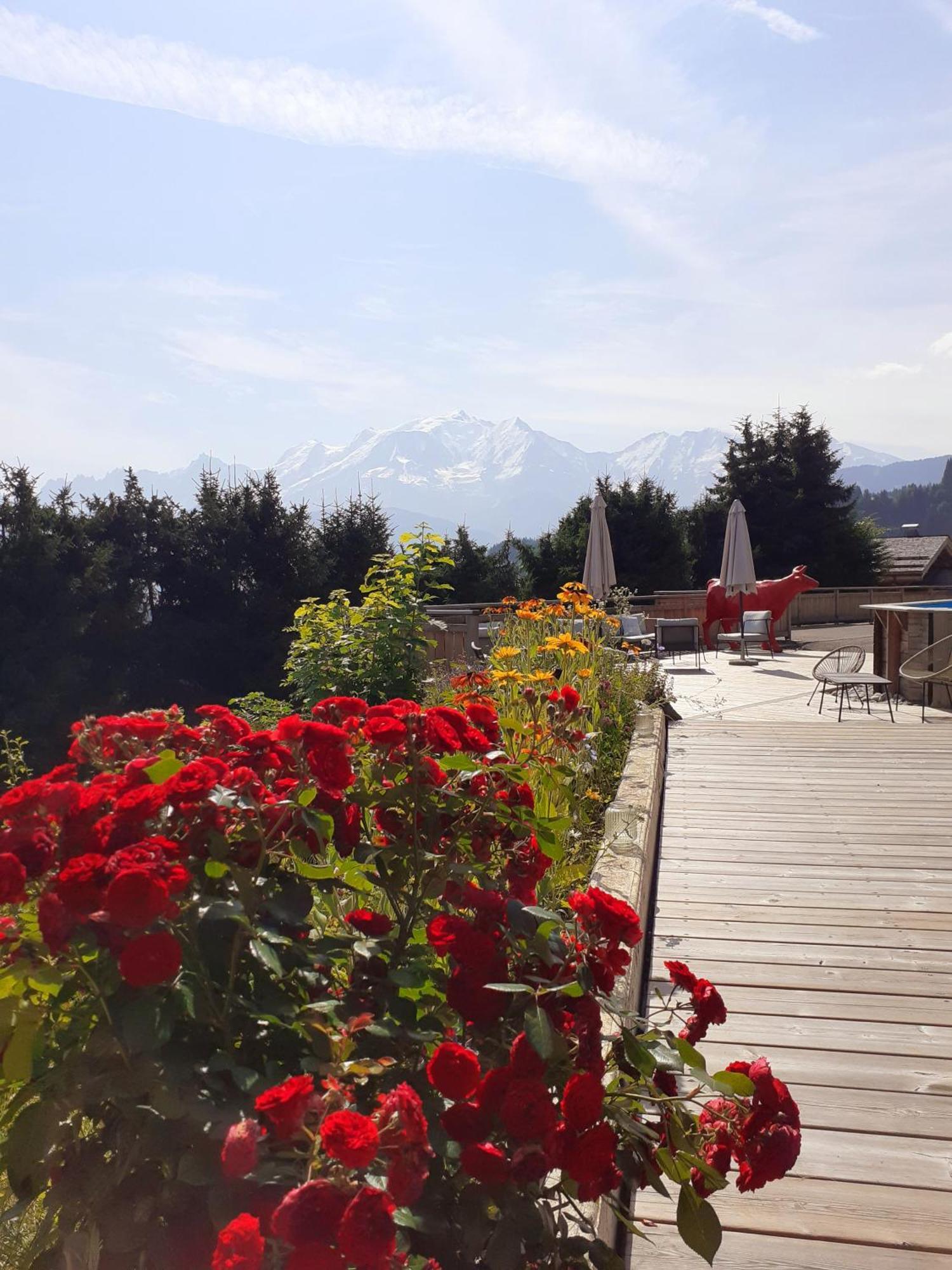 Chalet Les Rhodos Cordon Exteriér fotografie
